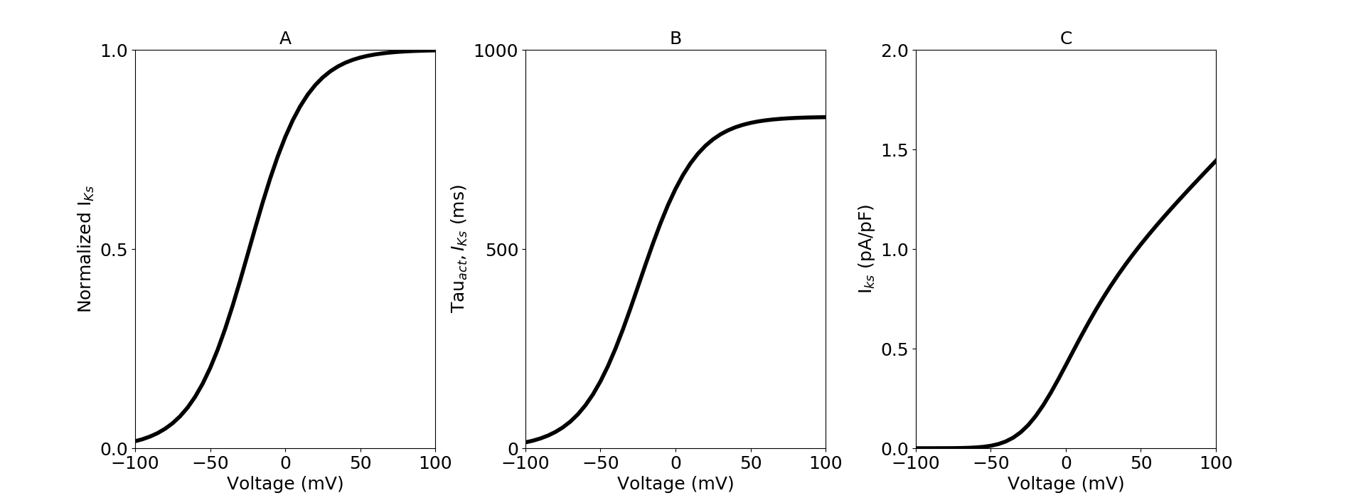 Slow delayed rectifier potassium current model