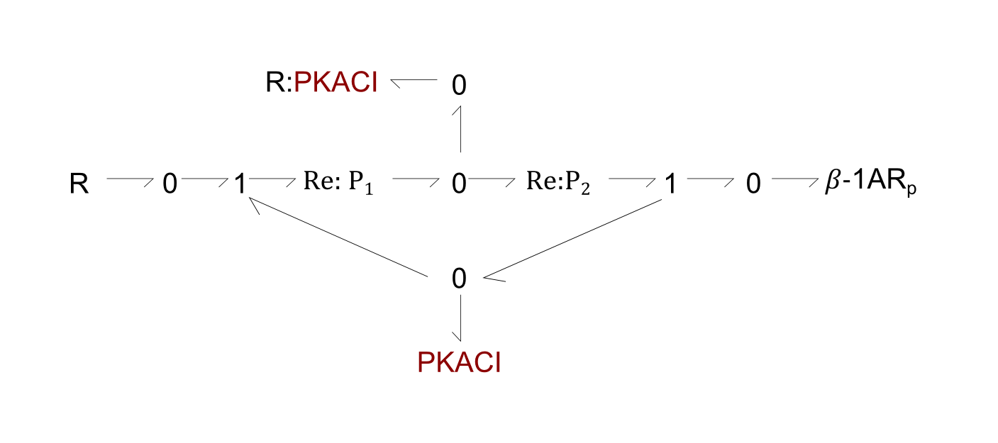 BG PKACI reaction