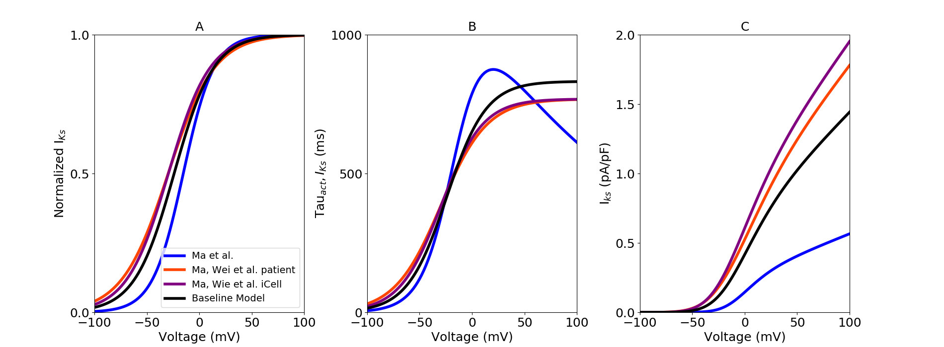 Slow delayed rectifier potassium current model optimization