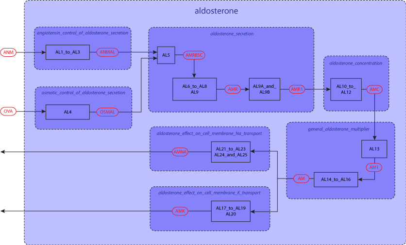 Модель репозитория. Aldosterone scheme.